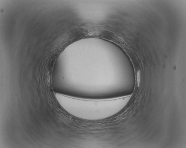 X0000062671443200512211022