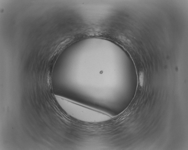 X0000062671444200512211022