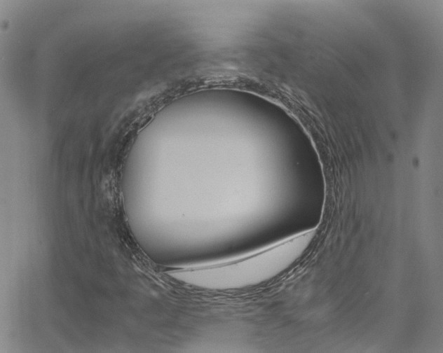 X0000062671445200512211022