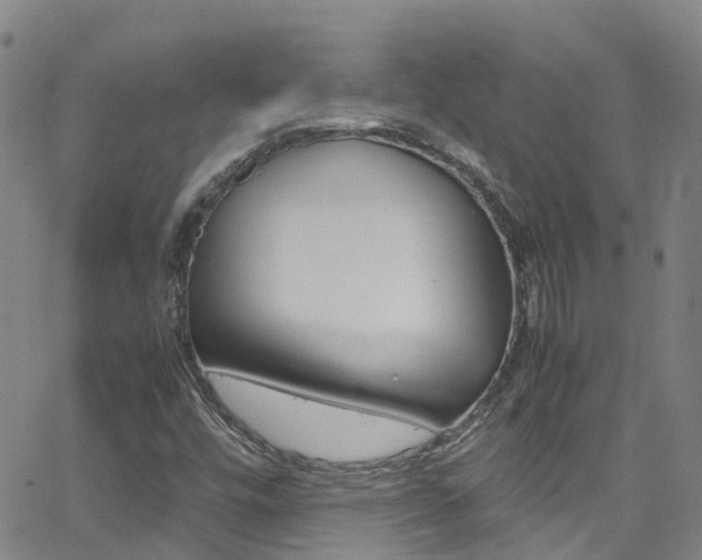 X0000062671448200512211022