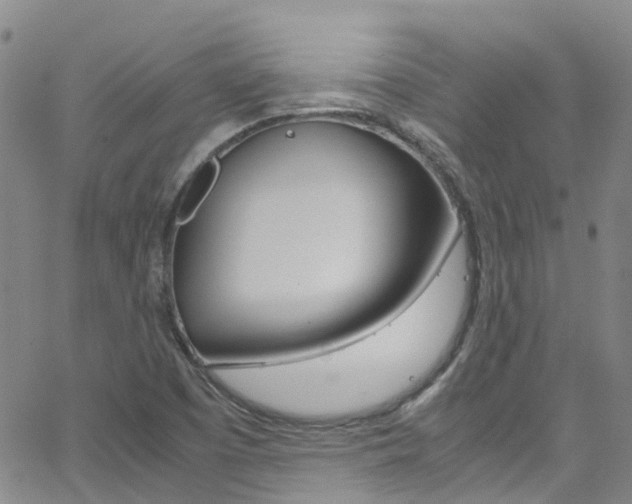 X0000062671457200512211022