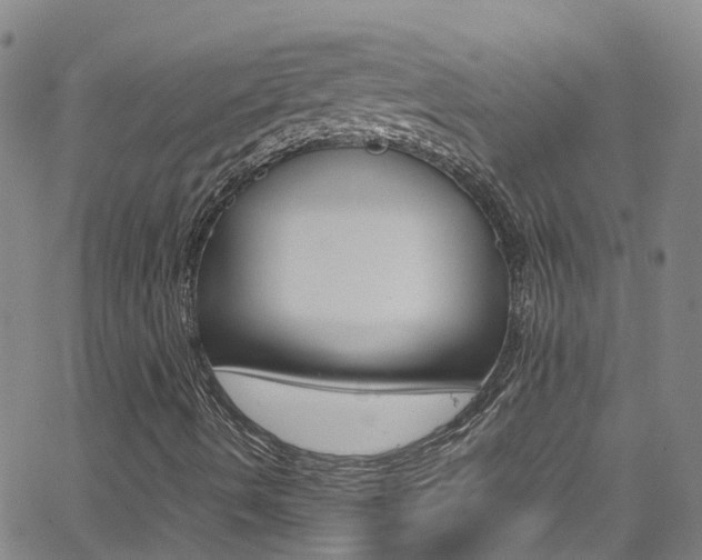 X0000062671490200512211021