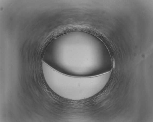 X0000062671492200512211021