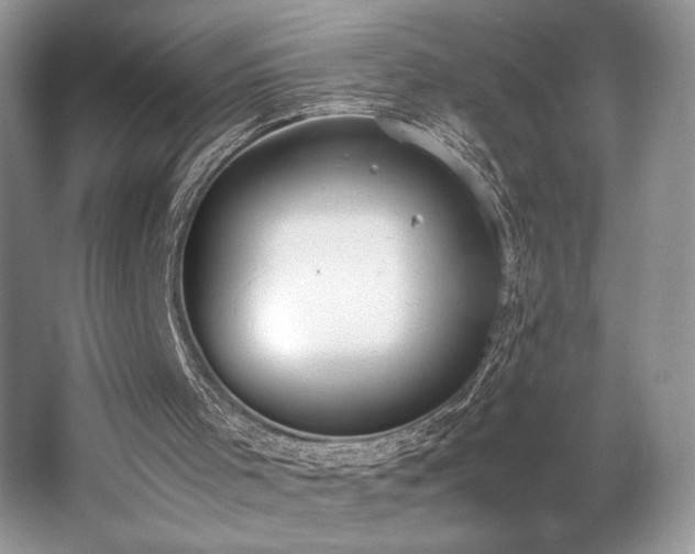 X0000062670001200512211347