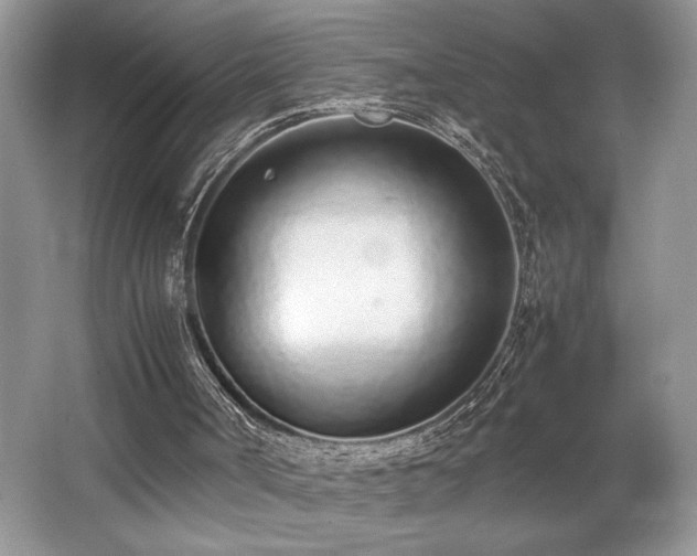 X0000062670002200512211347