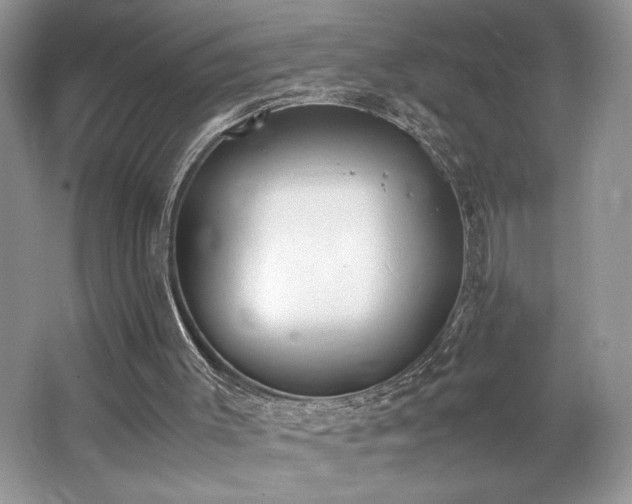 X0000062670003200512211347