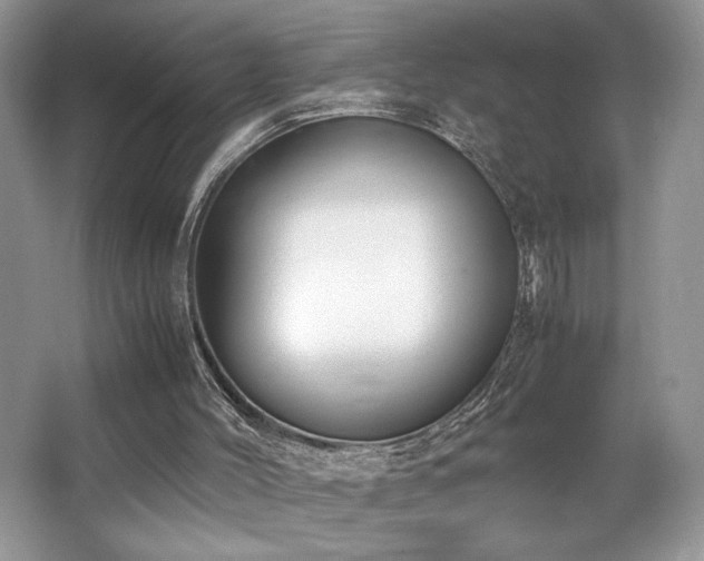 X0000062670004200512211347