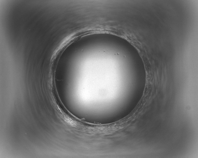 X0000062670005200512211347