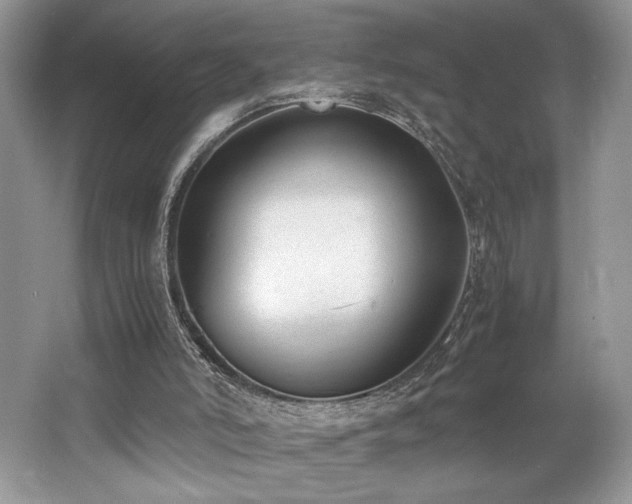 X0000062670006200512211347