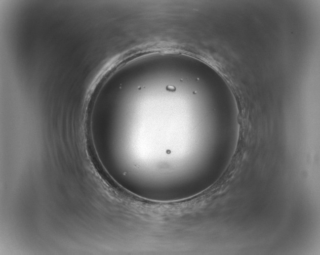 X0000062670007200512211347