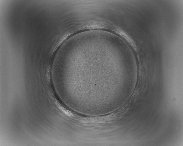 X0000062670009200512211347