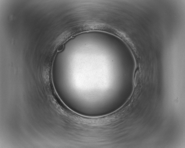 X0000062670010200512211347