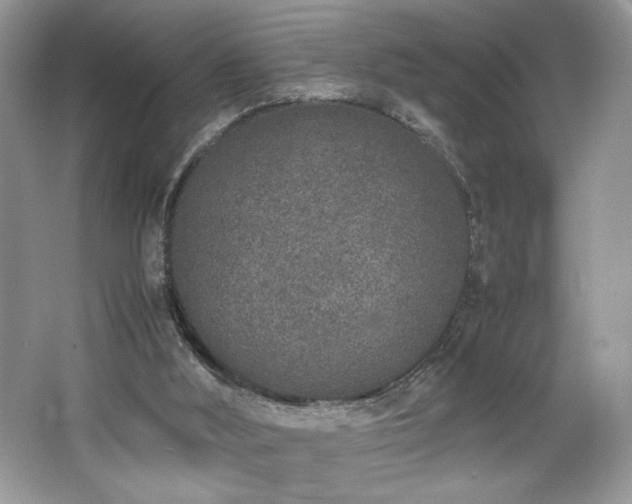 X0000062670012200512211347