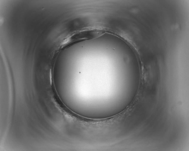 X0000062670013200512211347