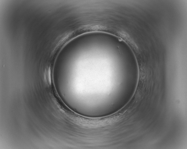 X0000062670014200512211347