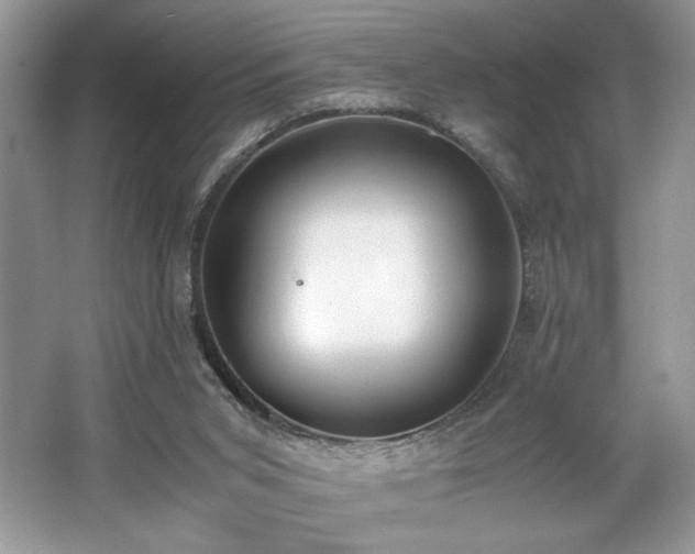 X0000062670015200512211347