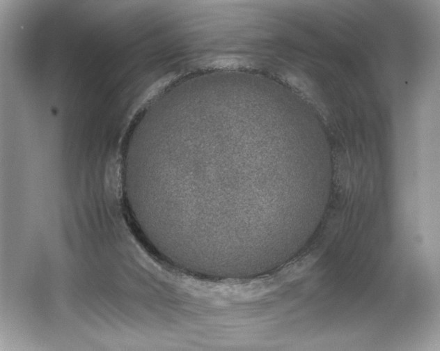 X0000062670016200512211347