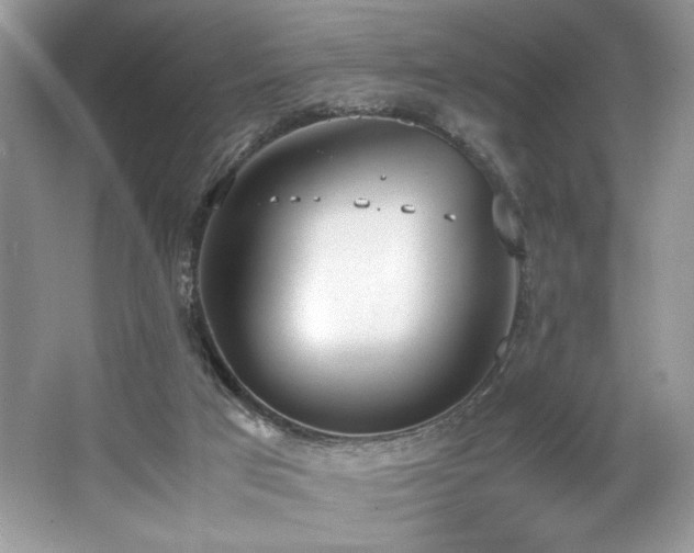 X0000062670017200512211347