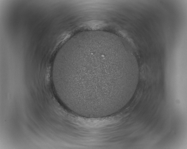 X0000062670018200512211347