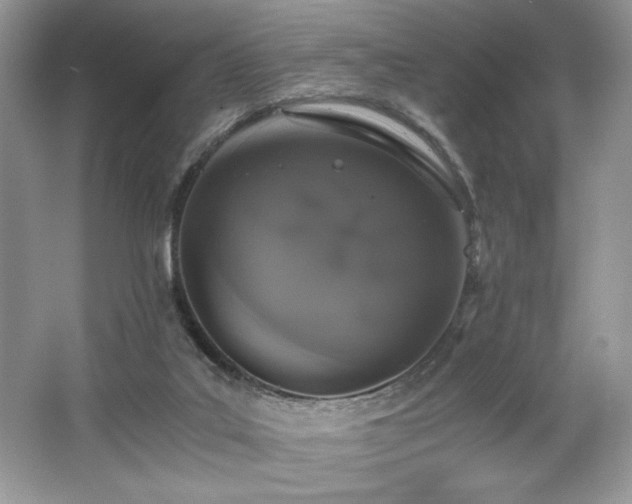 X0000062670019200512211347