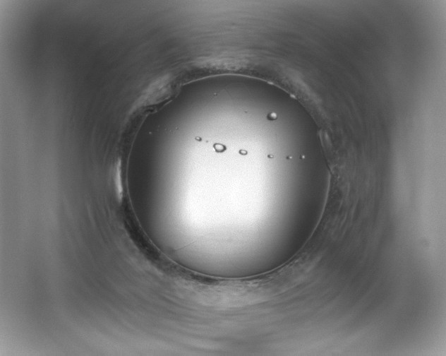 X0000062670020200512211347