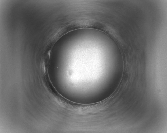 X0000062670021200512211347