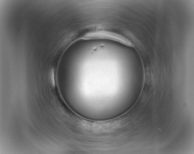 X0000062670022200512211347