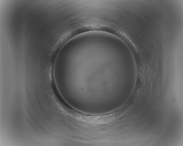 X0000062670023200512211347