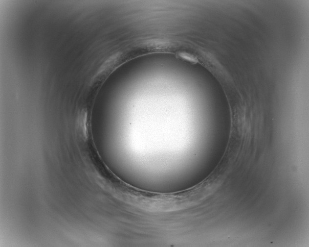 X0000062670024200512211347