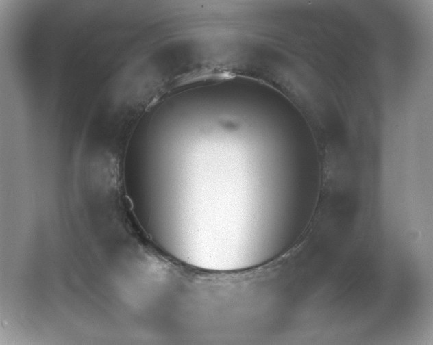 X0000062670025200512211347