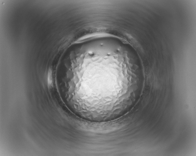 X0000062670026200512211347