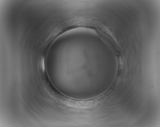 X0000062670027200512211347