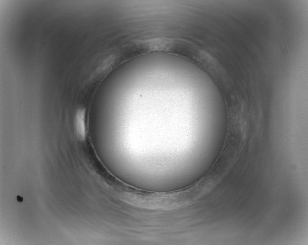 X0000062670028200512211347