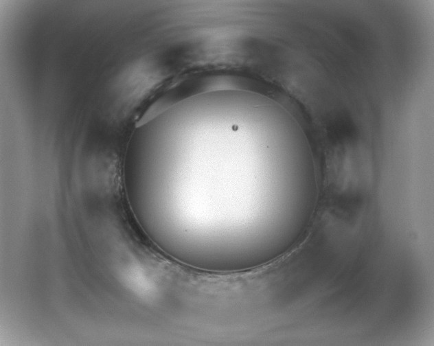 X0000062670029200512211347