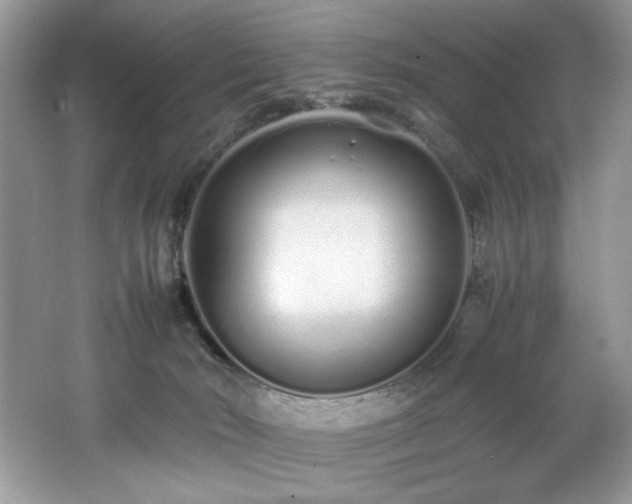 X0000062670030200512211347