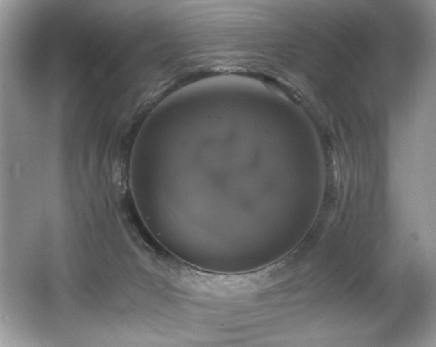 X0000062670031200512211347