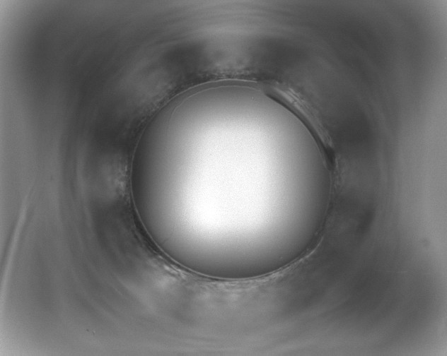 X0000062670033200512211347