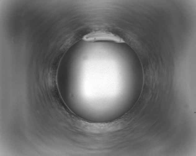 X0000062670034200512211347