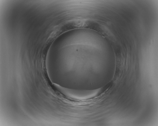 X0000062670035200512211347