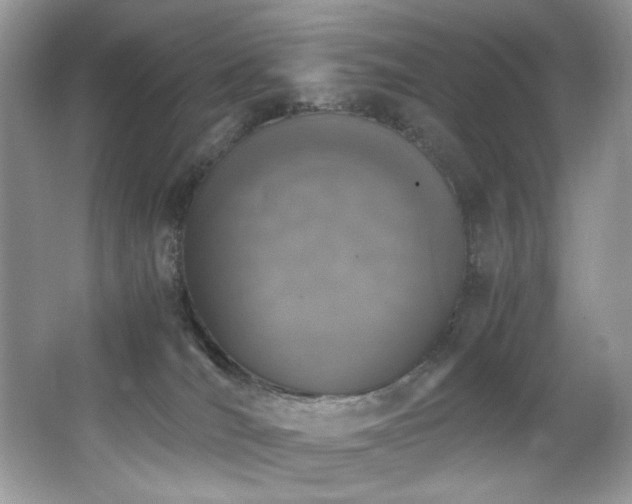 X0000062670036200512211347