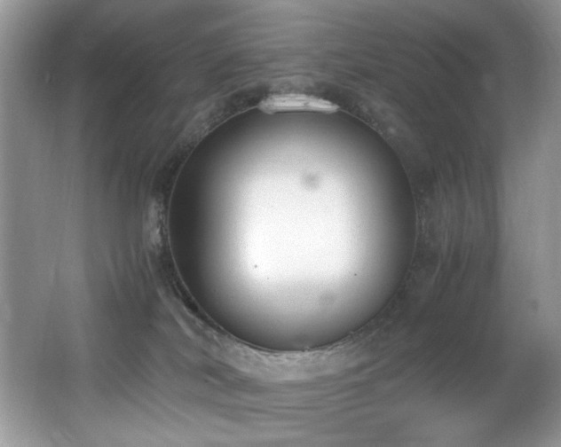 X0000062670038200512211347