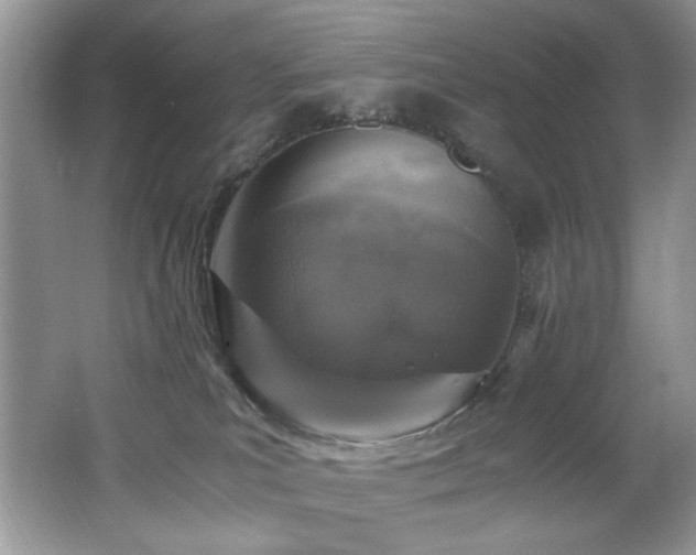 X0000062670039200512211347