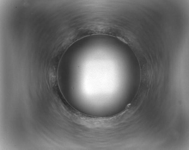 X0000062670040200512211347