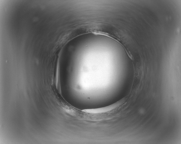 X0000062670041200512211347