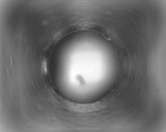 X0000062670042200512211347