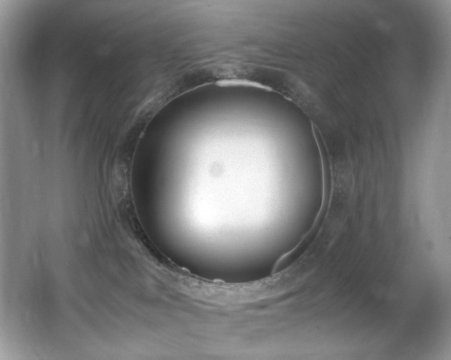 X0000062670043200512211347