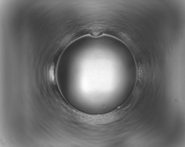 X0000062670046200512211347