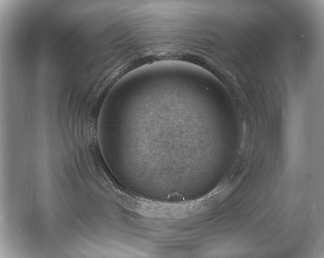 X0000062670048200512211347