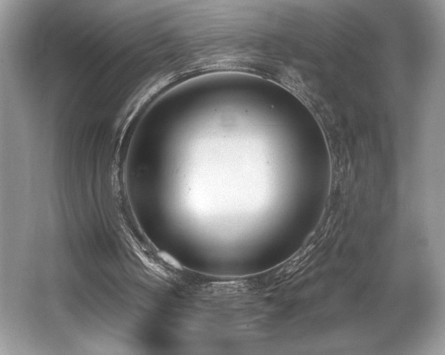 X0000062670050200512211346