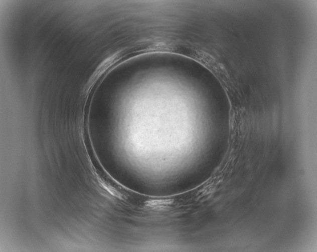 X0000062670051200512211346